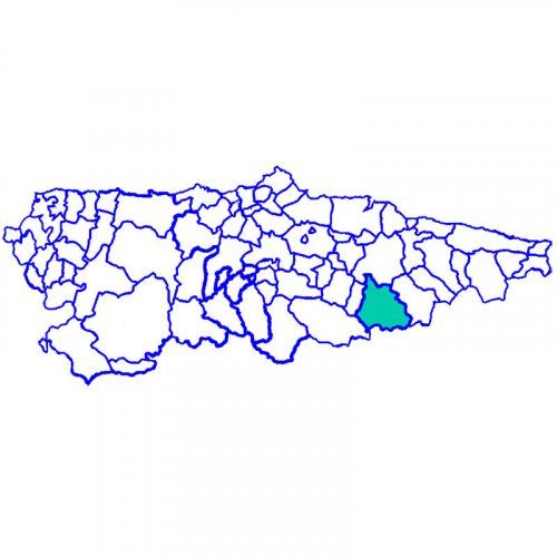 CASO