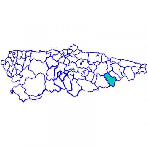 PONGA